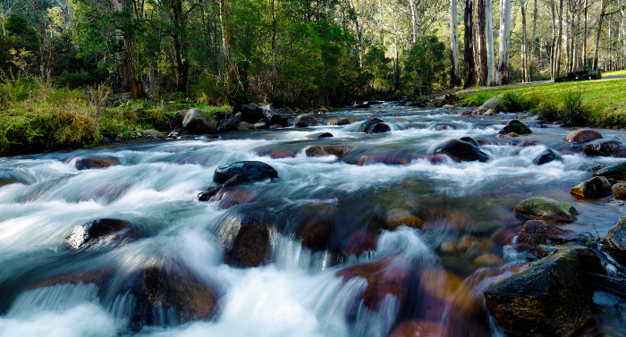 Tasmanian regulators turn attention to mercury levels in water